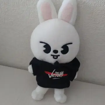 straykids 스트레이 키즈 스키즈 봉제 인형 리노 리빗
