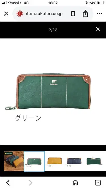 Golden Bear 그린 가죽 장지갑