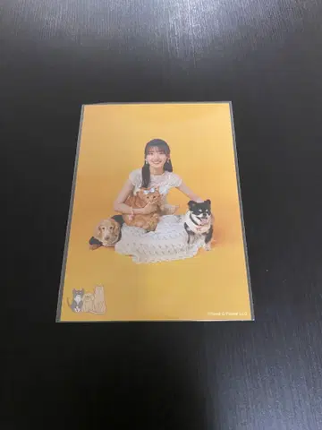히나타자카46 사사키 미레이 과거 의상 랜덤 브로마이드 시크릿 단체