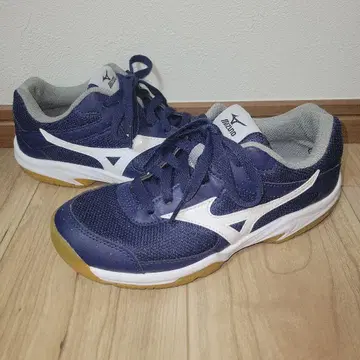 22.5cm MIZUNO 미즈노 구산대 지정 체육관 신발 실내 신발