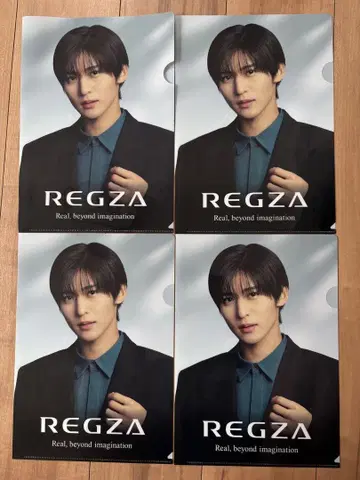 메구로 렌 REGZA 클리어 파일 4장 세트