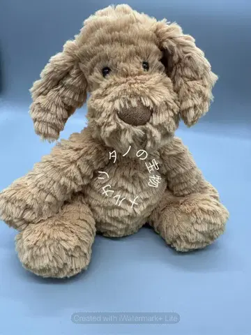 정품 제리캣 패들우들 강아지 봉제 인형