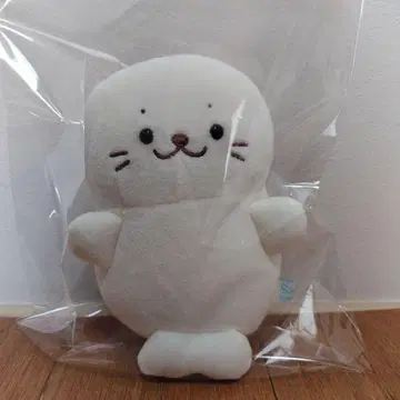 따라오는 시로땅
