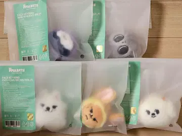 TXT 뿔바투 FACE 키링 페이스 키링