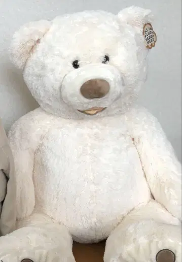 코스트코 곰 봉제 인형