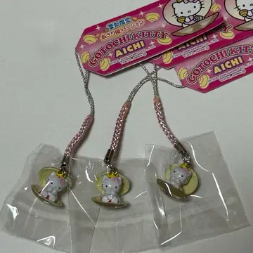 헬로키티 고토치키티 아이치 HELLO KITTY 산리오 네츠케