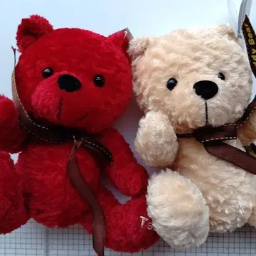 곰 봉제 인형 테디베어 웰컴 스페이스 페어