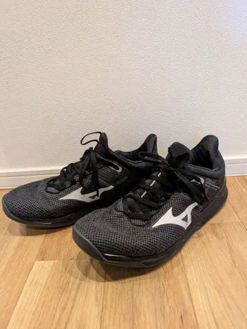 Mizuno 트레이닝 슈즈 블랙 JPN26.5
