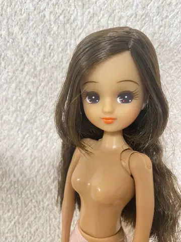 상자 없음 포토제닉 리카 짱 달리아