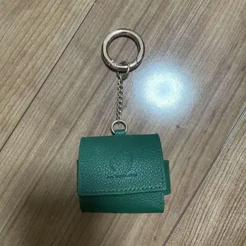 Mrs. GREEN APPLE 이어폰 케이스