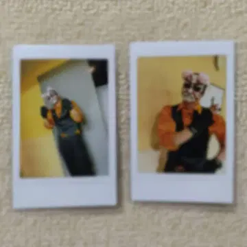 O-MENZ 폴라로이드 쿠마도리