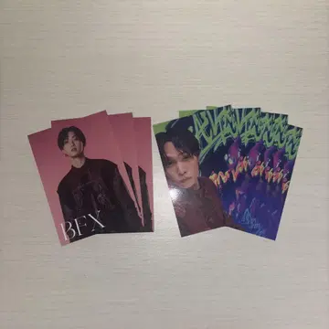 BFX 호리 나츠키 CD 특전 3장 회장 예약 특전 5장