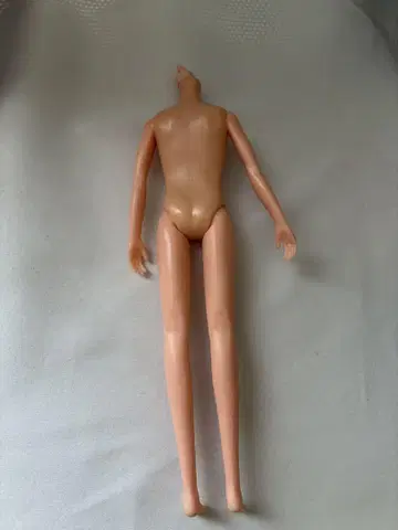 하루토군 소체