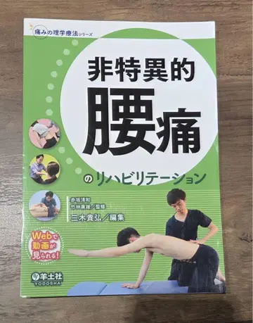 비특이적 요통의 재활 치료