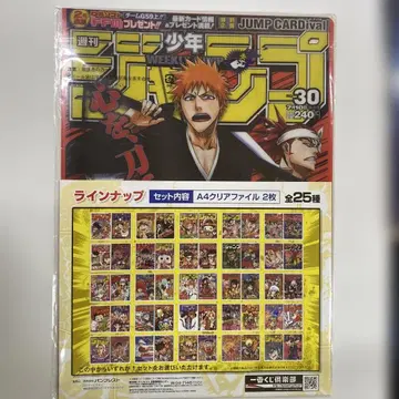 NARUTO-나루토- & BLEACH-블리치- A4 클리어 파일 세트