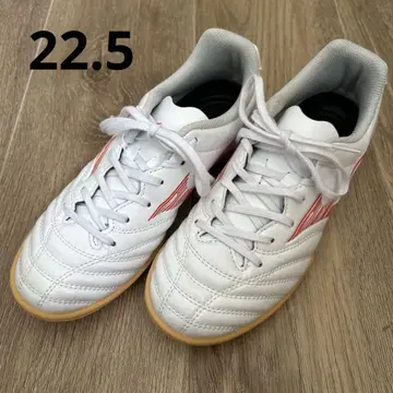 미즈노 모나르시다 NEO 3 22.5cm