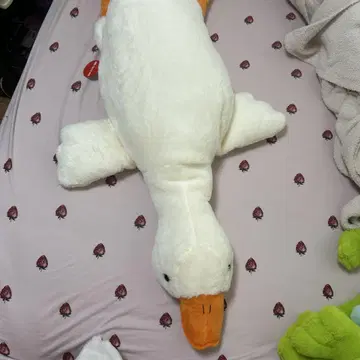오리 봉제 인형 다이토 한정판!