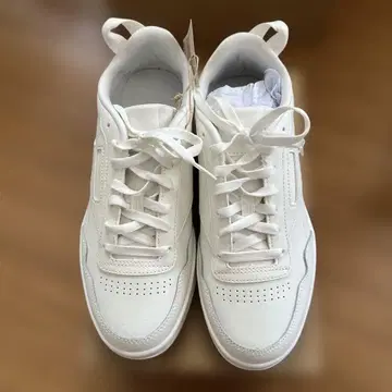 코트 스니커즈