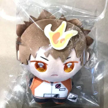포니 스텝 가정교사 히트맨 REBORN! 사와다 츠나요시