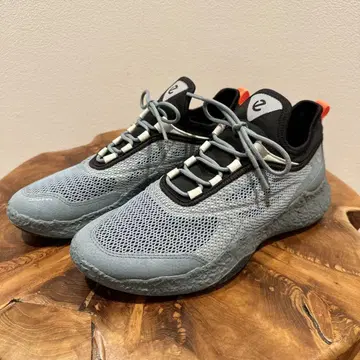 ECCO 바이옴 H5
