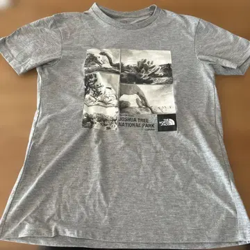 THE NORTH FACE 조슈아 트리 티셔츠 S