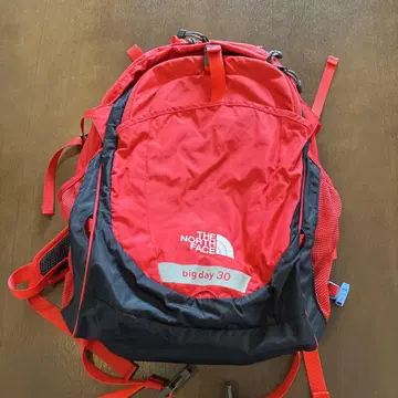THE NORTH FACE big day 30 백팩