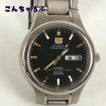 ELGIN 엘르 티타늄 솔라 드라이브 DAY-DATE 남성용 손목시계
