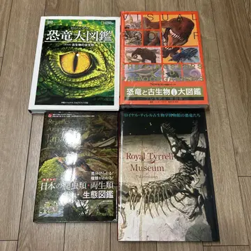 공룡 도감 세트