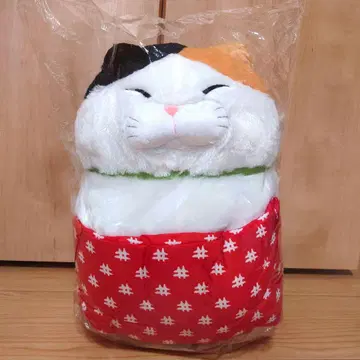 히게만주 정좌 2