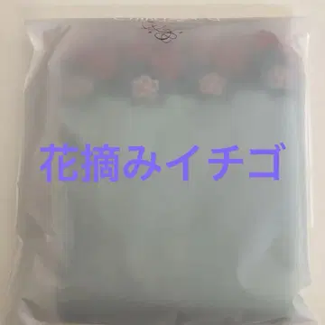 치카자와 레이스 꽃 따기 이치고