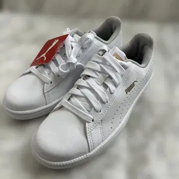 미사용 22.5cm PUMA 화이트 스니커즈 키즈 여성용