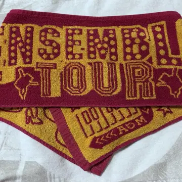 Mrs. GREEN APPLE ENSEMBLE TOUR 머플러 타월