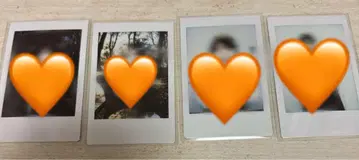 사카가키 레이지 솔로 폴라로이드 폴라로이드 레지왕 바 이베