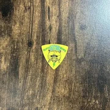 SUPER BEAVER 피크