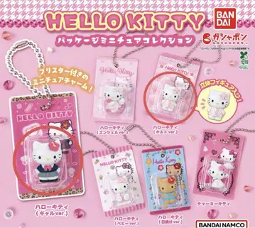 HELLO KITTY 패키지 미니어처 컬렉션