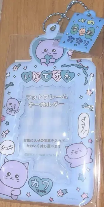 최고심 사진 홀더 블루