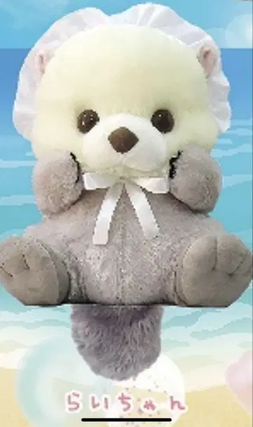 신나는 해달 아기 라이짱 봉제 인형