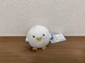 스미코구라시 2019년 초회 한정 고양이