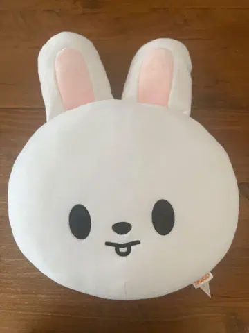 straykids 스키즈 Lee 비트 리노 쿠션