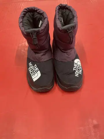 THE NORTH FACE 퍼플 부츠