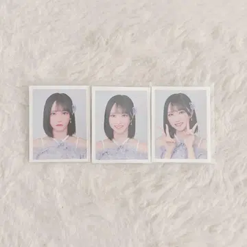이코럽 ID 사진 노구치 이오리 컴프