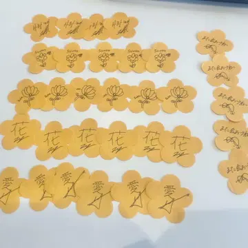 ENHYPEN FATE+ 오렌지 플라워 세트