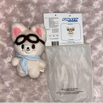 PILOT 스키즈 아이엔 폭시니