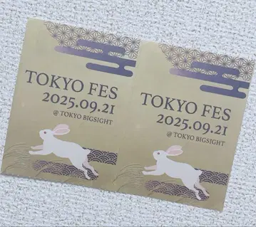 9/21 TOKYO FES Sep.2025 서치 티켓 2장 익명 배송
