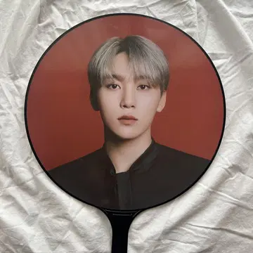 SEVENTEEN power of love 승관 부채 서울콘