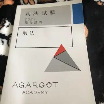 사법시험 2024 종합강의 형법 아가루트