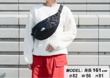 THE NORTH FACE 바디백 블랙