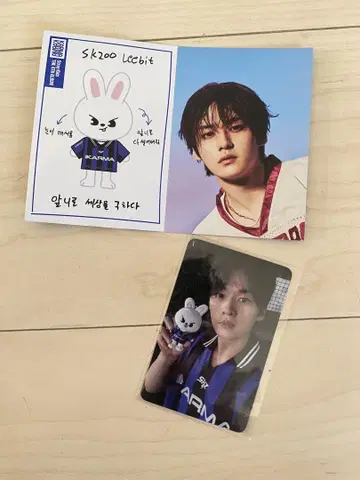 Stray kids KARMA SKZOO ver. 리노 카드 세트
