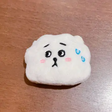 BT21 브로치 RJ