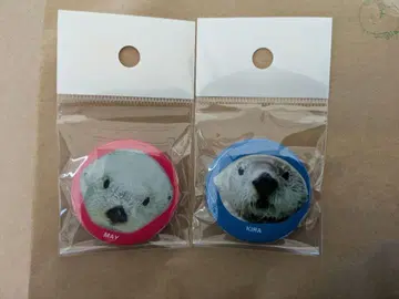 도바 수족관 캔뱃지 랏코 메이짱 키라짱 [ 새상품, 미사용 ]